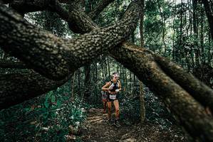 BIB: 
                            <button type="button" onclick="openModal(25663924)" class="btn btn-primary btn-sm float-right btn-popup" data-toggle="modal" data-target=".modal-high-quality">
                        <i class="fas fa-shopping-cart"></i> Add to Cart
                    </button>
                                            <button type="button" onclick="isThisMe(25663924, true)" class="btn btn-success btn-sm float-right btn-popup btn-isme hidden" data-toggle="tooltip" data-placement="bottom" title="นี่คือรูปของคุณใช่ไหม คลิกที่นี่เพื่อเอาเข้าอัลบั้ม">
                        <i class="fas fa-plus"></i> Add to album
                    </button>
                    <button type="button" onclick="isThisMe(25663924, false)" class="btn btn-warning btn-sm float-right btn-popup btn-isnotme hidden">
                        <i class="fas fa-ban"></i> Remove from album
                    </button>